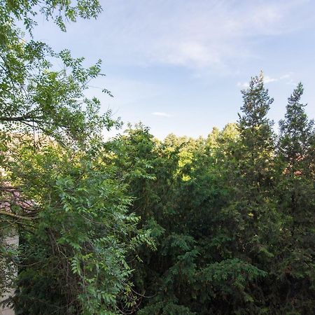 Exotic Rami'S Apartments Timisoara Ngoại thất bức ảnh