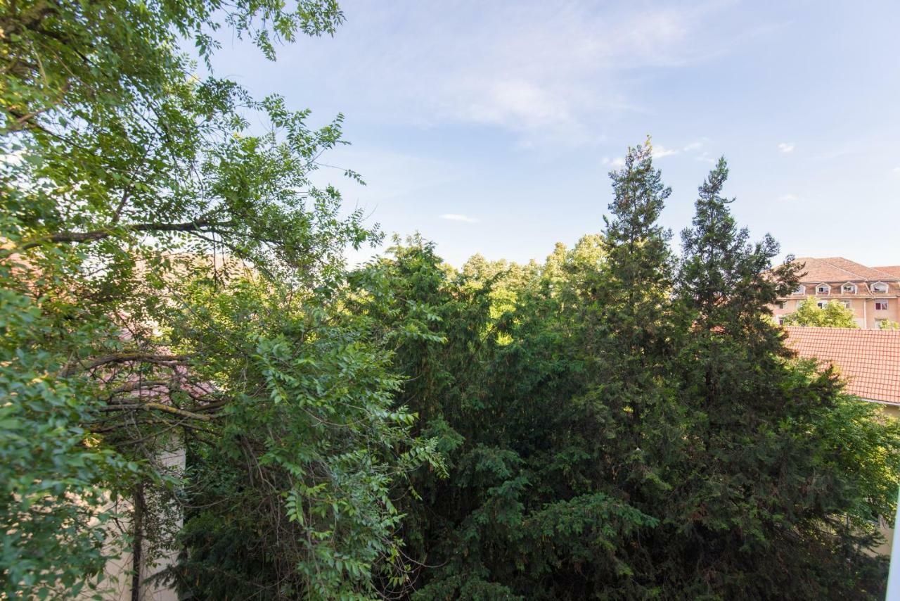 Exotic Rami'S Apartments Timisoara Ngoại thất bức ảnh